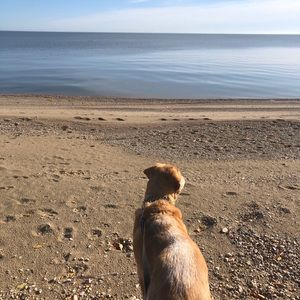 Meet your Posher, Deb